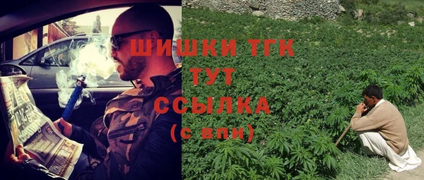 мдпв Дмитров