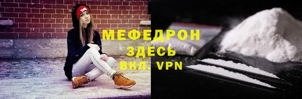 ГАЛЛЮЦИНОГЕННЫЕ ГРИБЫ Дмитриев