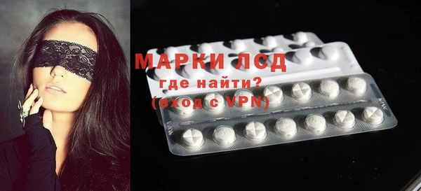 ГАЛЛЮЦИНОГЕННЫЕ ГРИБЫ Дмитриев