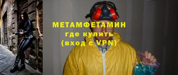 ГАЛЛЮЦИНОГЕННЫЕ ГРИБЫ Дмитриев