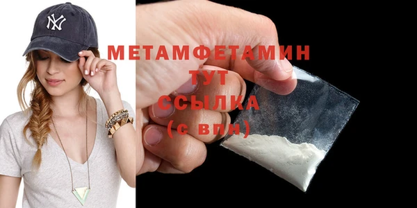 прущие грибы Сосновый Бор