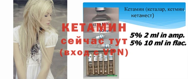 ГАЛЛЮЦИНОГЕННЫЕ ГРИБЫ Дмитриев