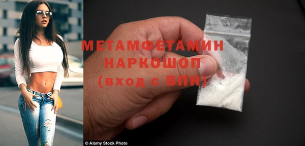 ГАЛЛЮЦИНОГЕННЫЕ ГРИБЫ Дмитриев