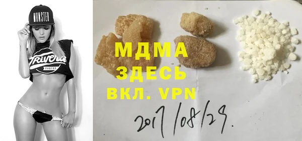 ГАЛЛЮЦИНОГЕННЫЕ ГРИБЫ Дмитриев