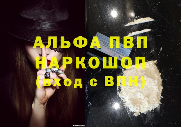 ГАЛЛЮЦИНОГЕННЫЕ ГРИБЫ Дмитриев