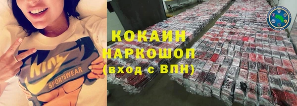 прущие грибы Сосновый Бор