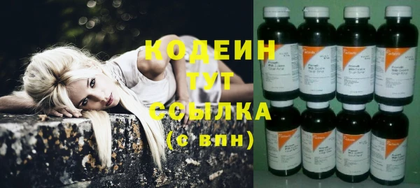 ГАЛЛЮЦИНОГЕННЫЕ ГРИБЫ Дмитриев