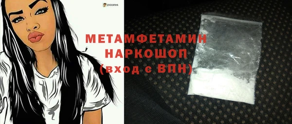 ГАЛЛЮЦИНОГЕННЫЕ ГРИБЫ Дмитриев