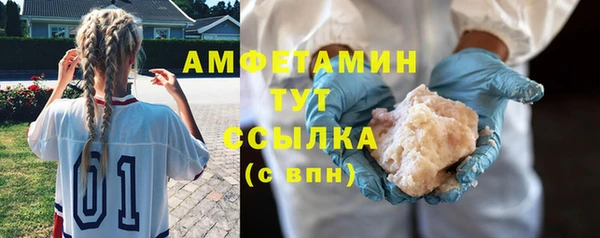 прущие грибы Сосновый Бор