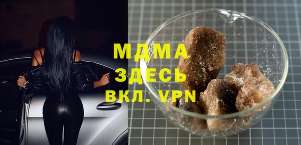 ГАЛЛЮЦИНОГЕННЫЕ ГРИБЫ Дмитриев